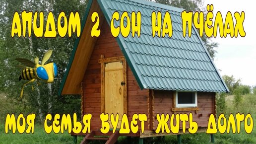 Сон на ульях