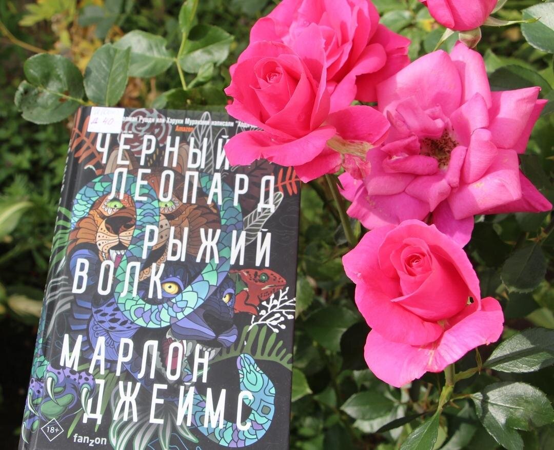 Книгу издали с красочной обложкой; фото - мое 