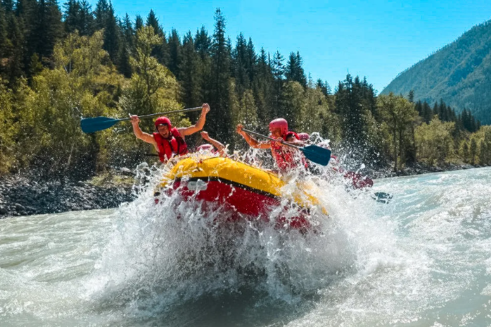 фото для иллюстрации, с сайта https://yandex.ru/images