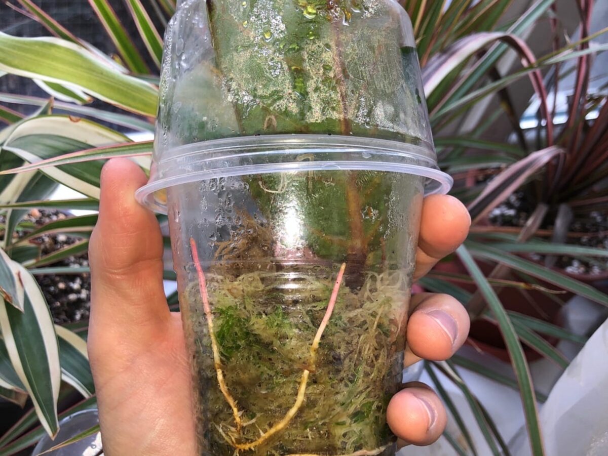 Фото: Юрий Гончарюк