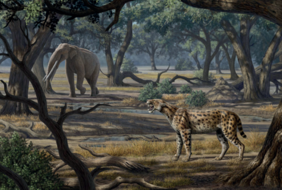 Какими были доисторические предки слонов: 5 самых необычных гигантов с бивнями