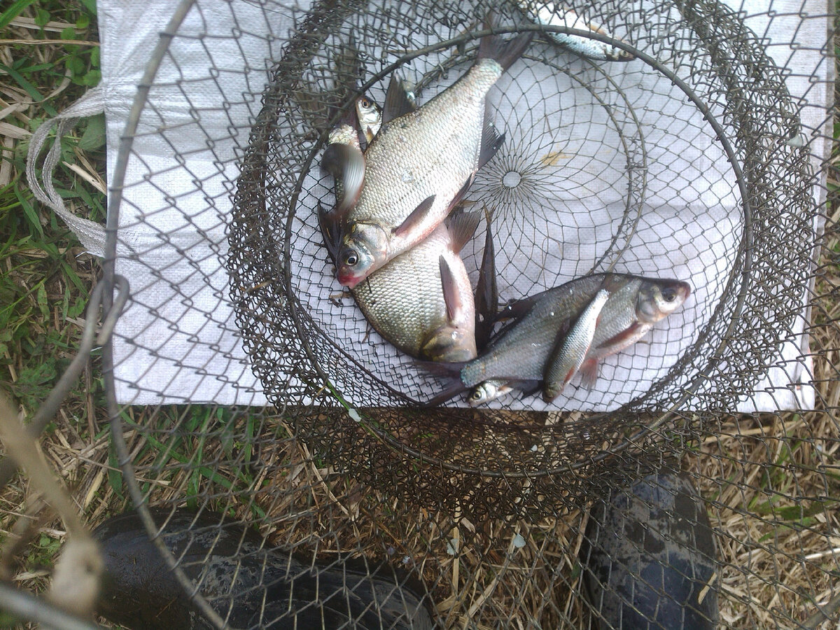 Старое фото моих переселенцев 