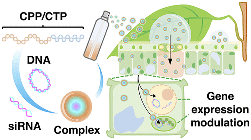 Схема работы спрея