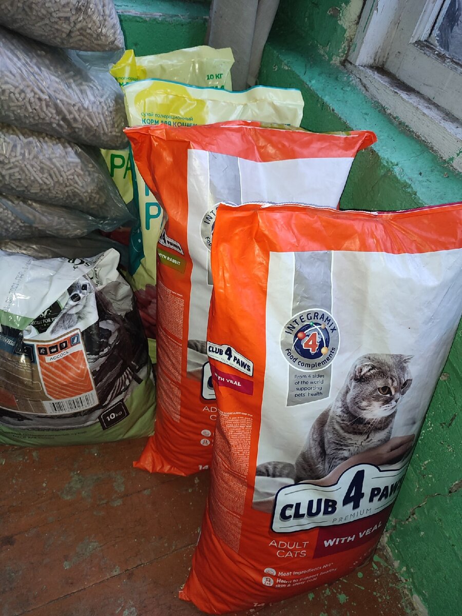 Аллева необридер. Немного корма. Котик ест корм. Кот ест. Немного корма.