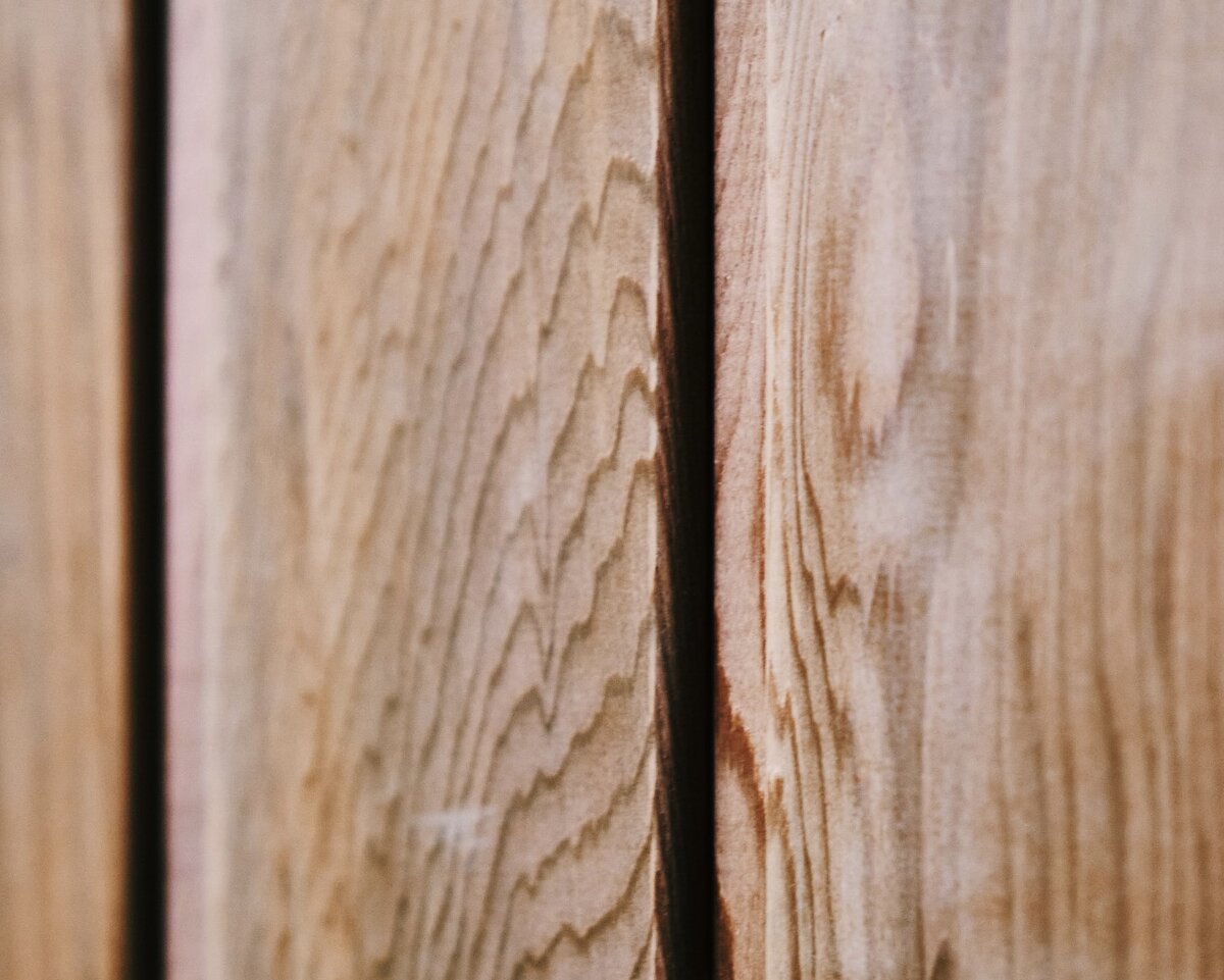 Канадский кедр