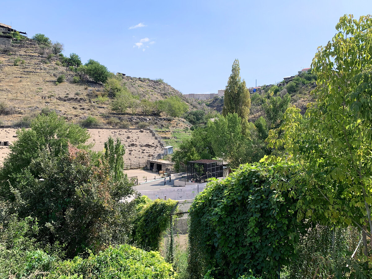 Зоопарк в Ереване