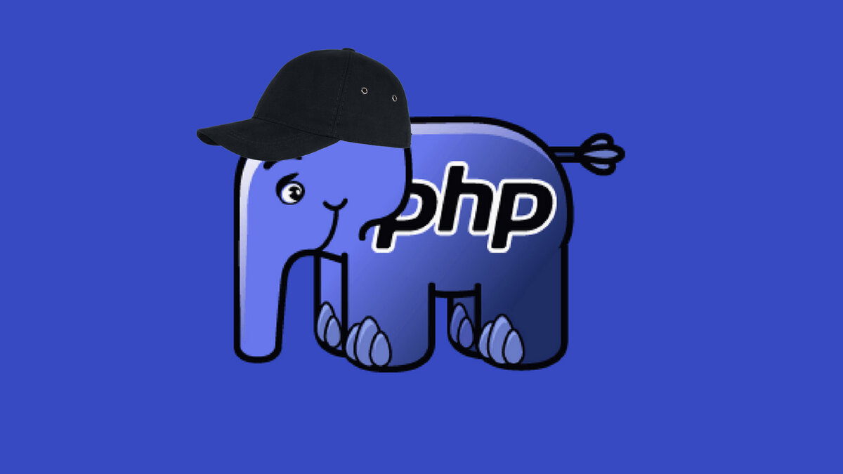 Junior PHP developer