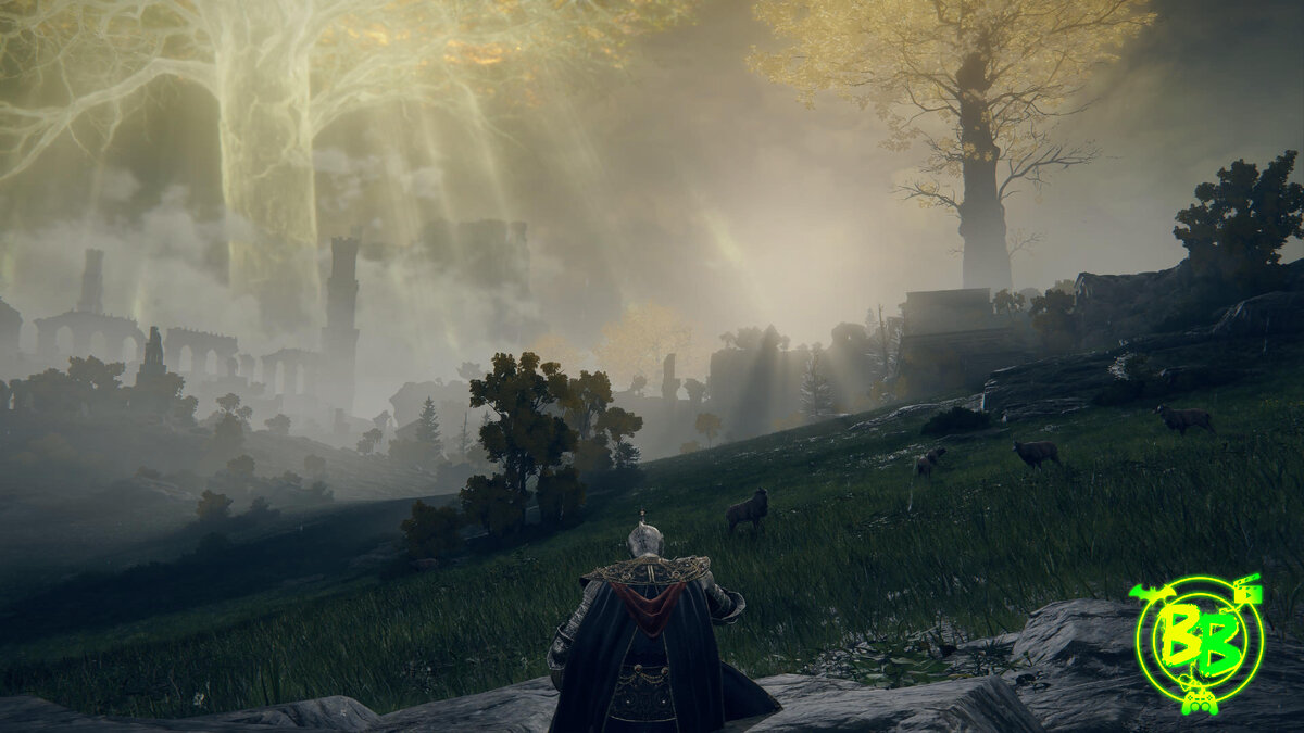 Огромное светящееся Древо Эрд видно практически из любой части континента