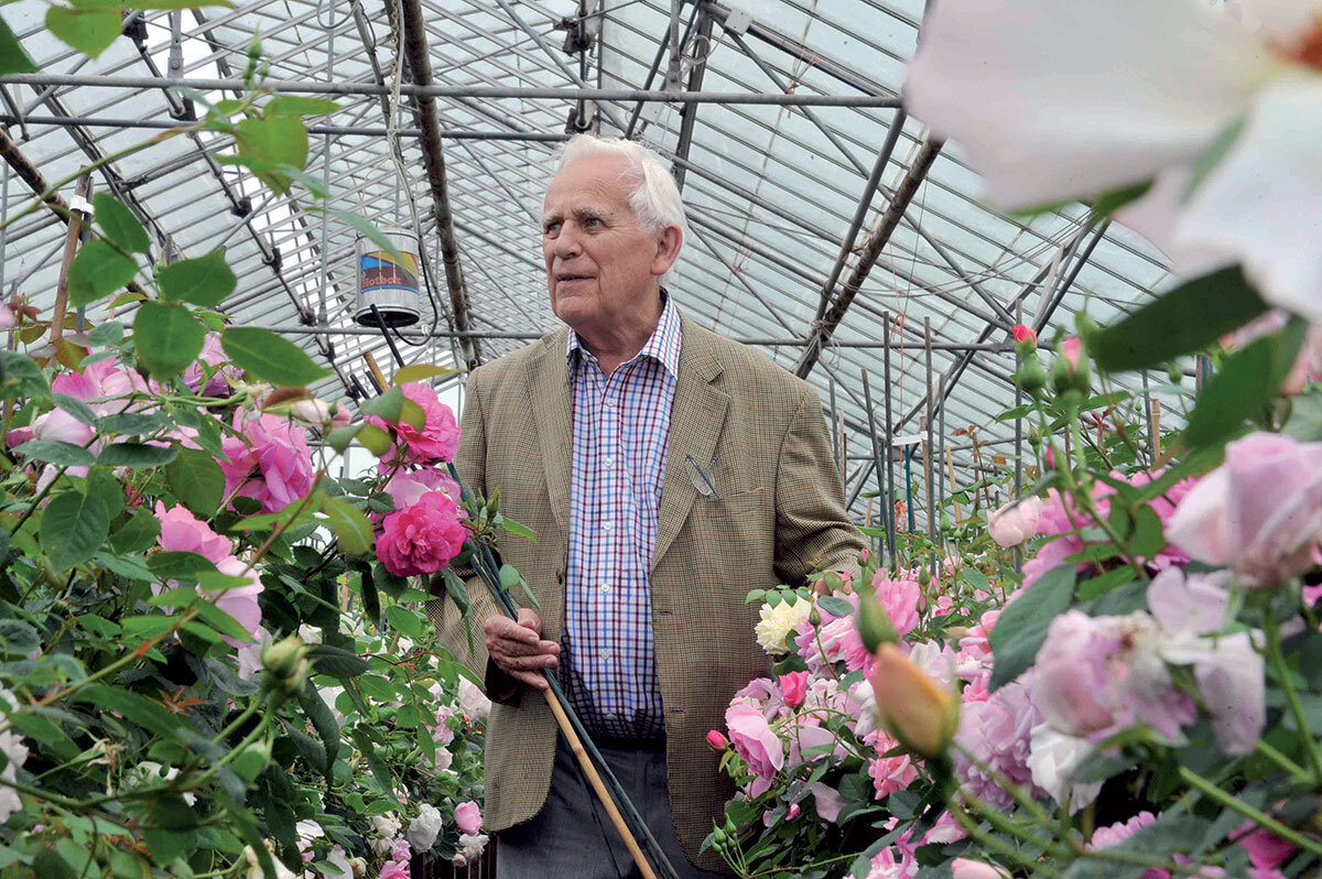 Фото David Austin Rose Gardens