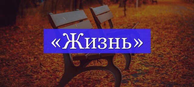 ЖИЗНЬ — особое качественное состояние мира, возможно, необходимая ступень в развитии Вселенной.