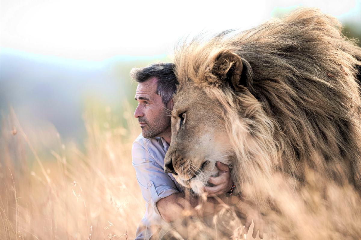 Рожденный быть сильным. Кевин Ричардсон. Кевин Ричардсон зоолог. Кевин Ричардсон и львы. Kevin Richardson Lion Whisperer.