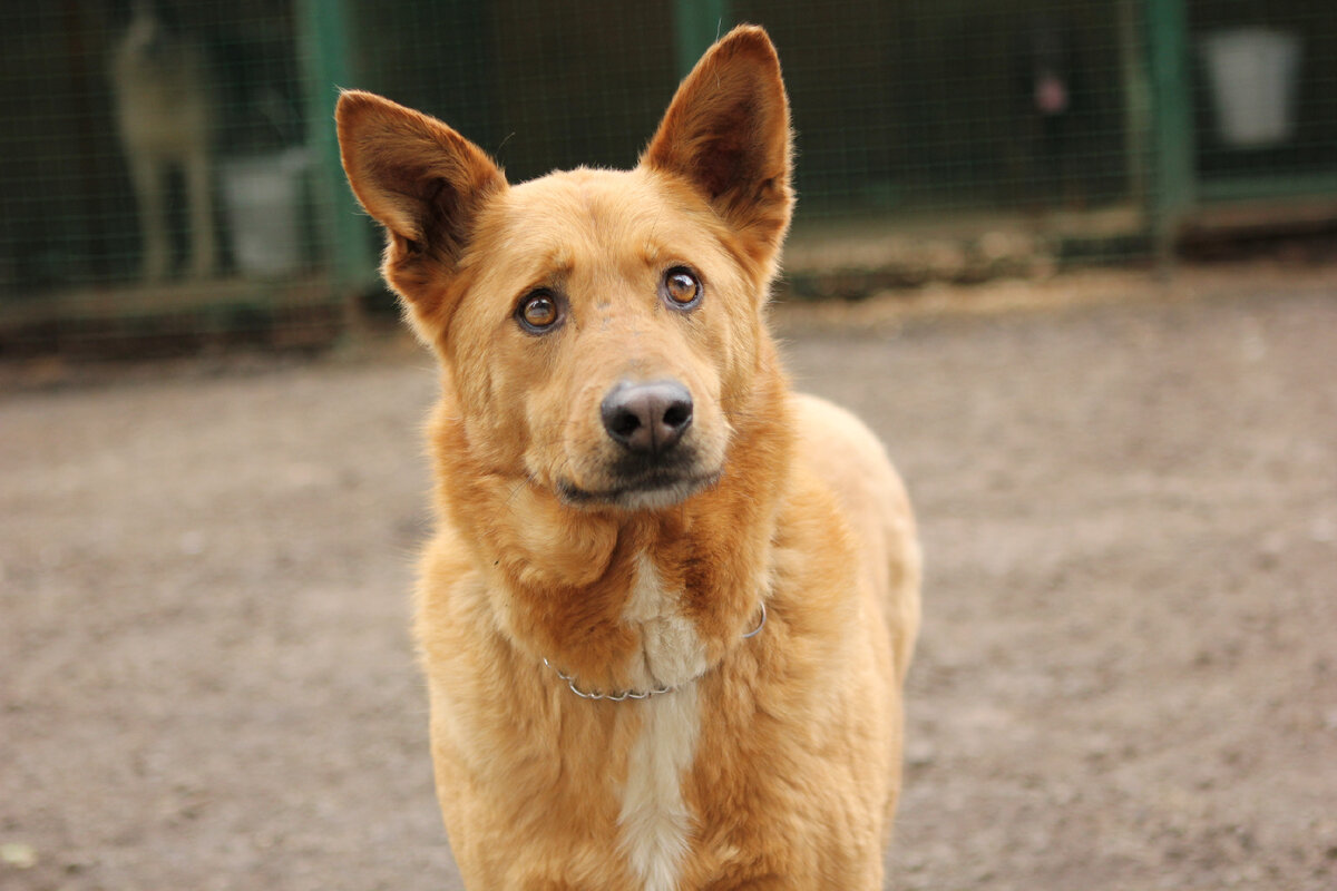 Моя жизнь не принадлежит мне. Я живу в городе, в котором не хочу быть.