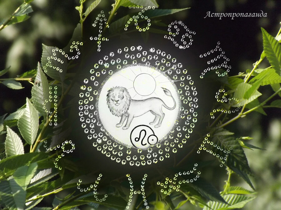 Коллаж Нины Стрелковой. 