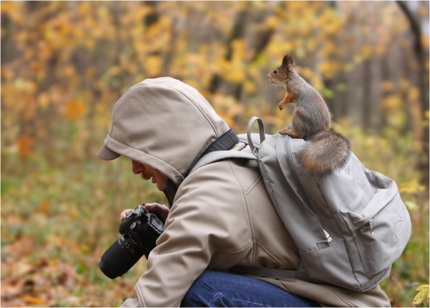Фото с фотостока