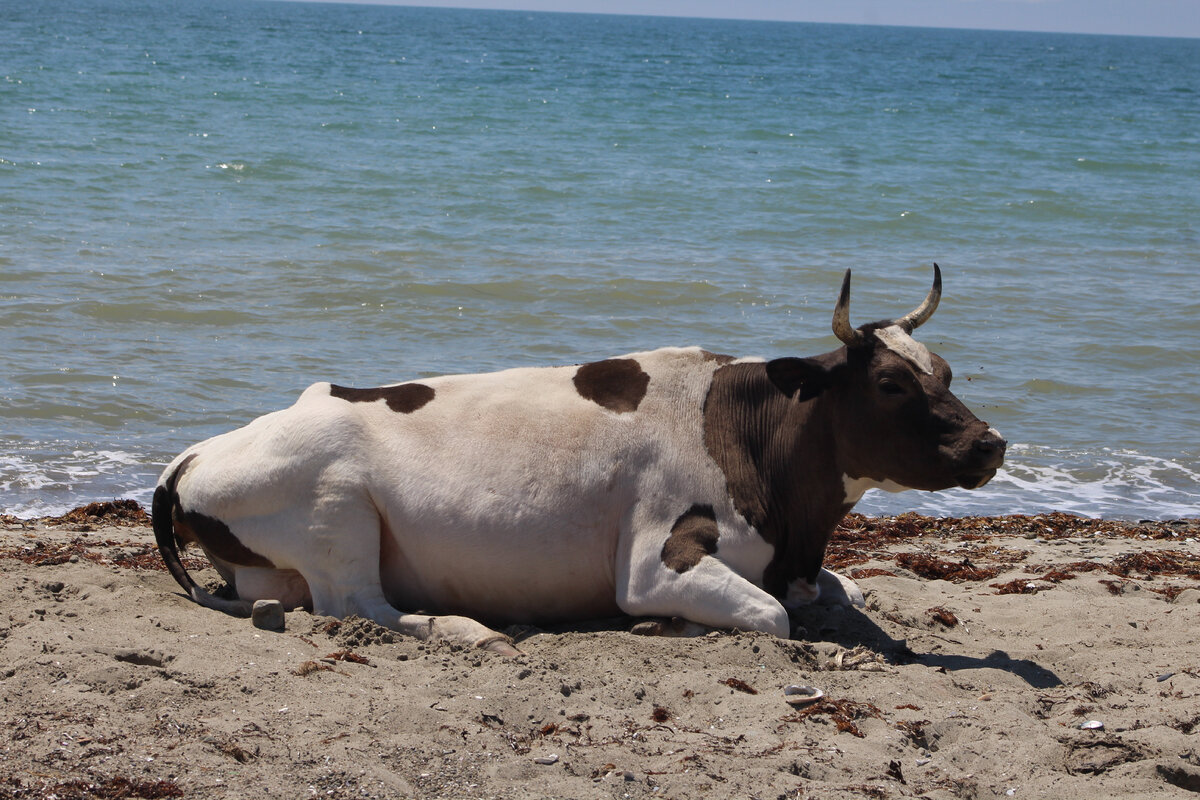 07 июля пляж Суходол