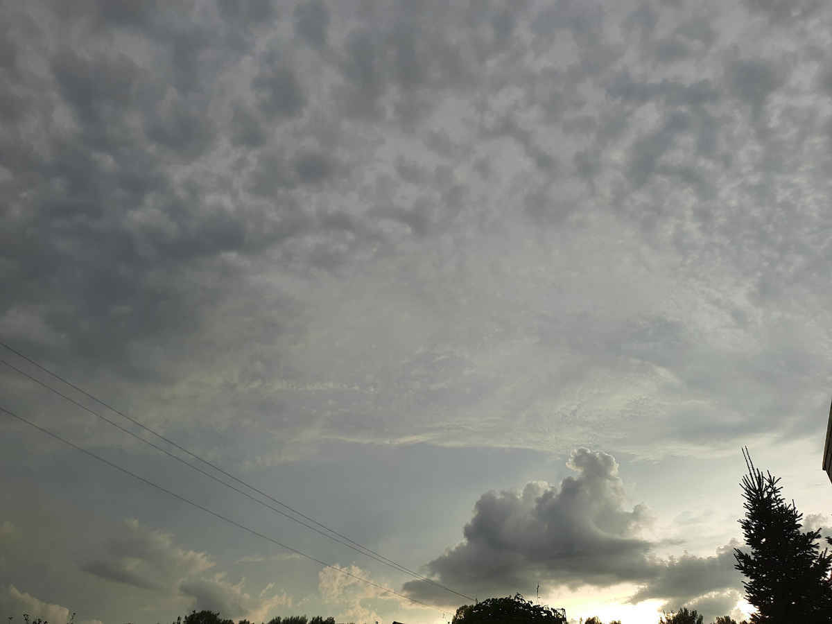 Дождик собрался