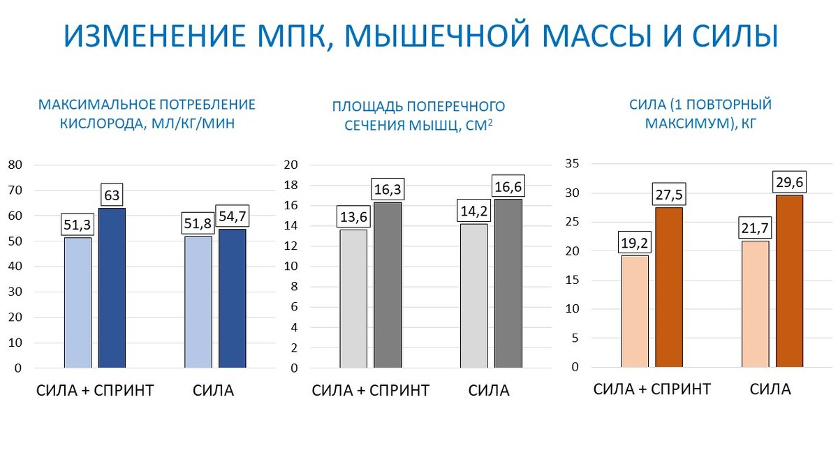 Рисунок 1. Изменение МПК, массы и силы мышц у двух групп.