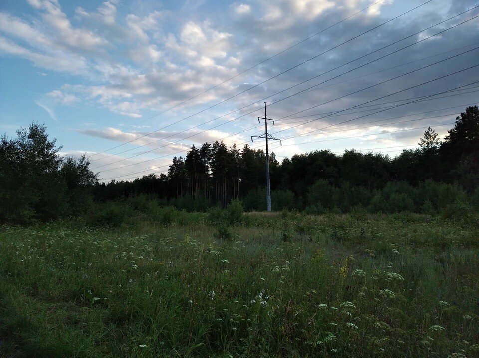     Диверсанты осуществили подрыв опоры ЛЭП Светлана ВОЛКОВА