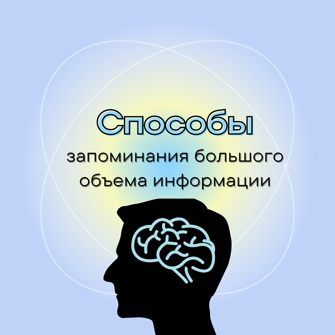 Способы запоминания большого объема информации🧠 | ЕГЭ по обществознанию со  Светланой Леонидовной | Дзен