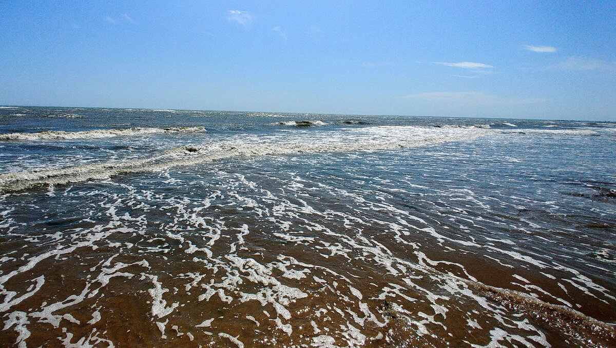 Погода в каспийском море в дагестане. Дагестан море. Змеи в Каспийском море в Дагестане летом. Какое море в Дагестане. Море в Дагестане в июне температура воды.