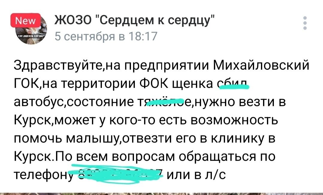 Пост в Вк
