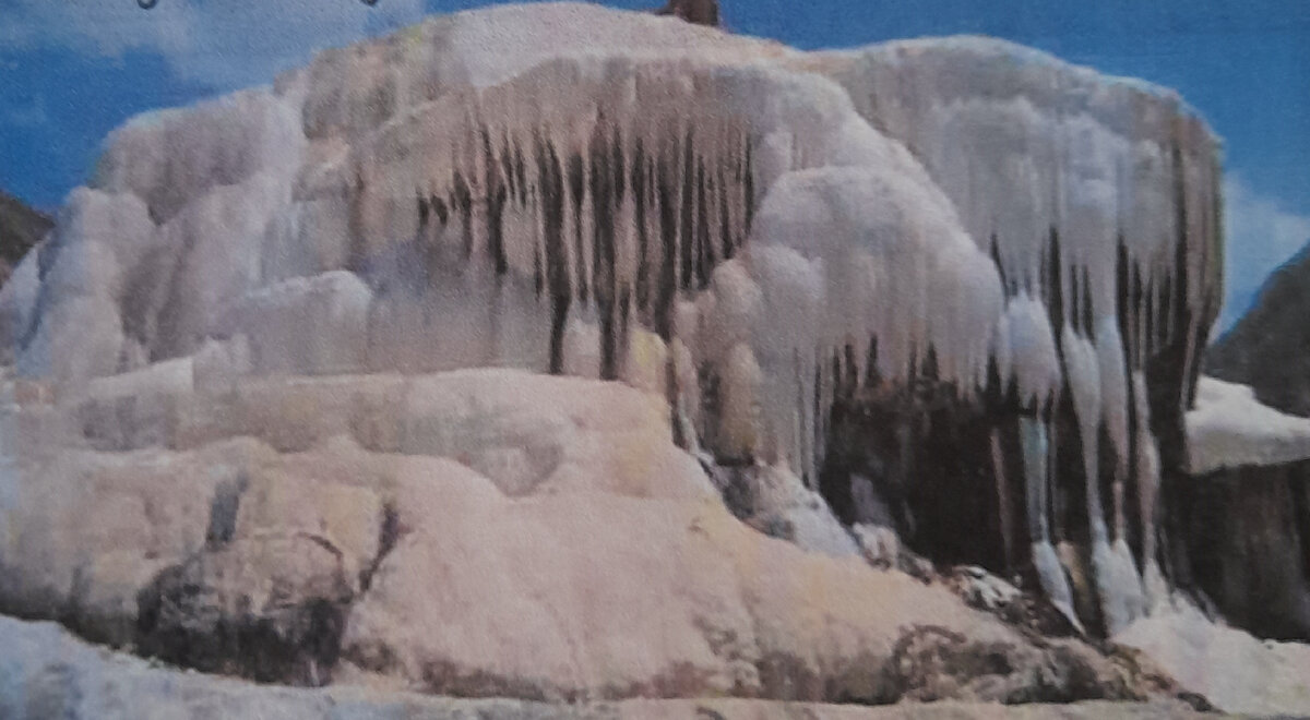 фото из открытых источников