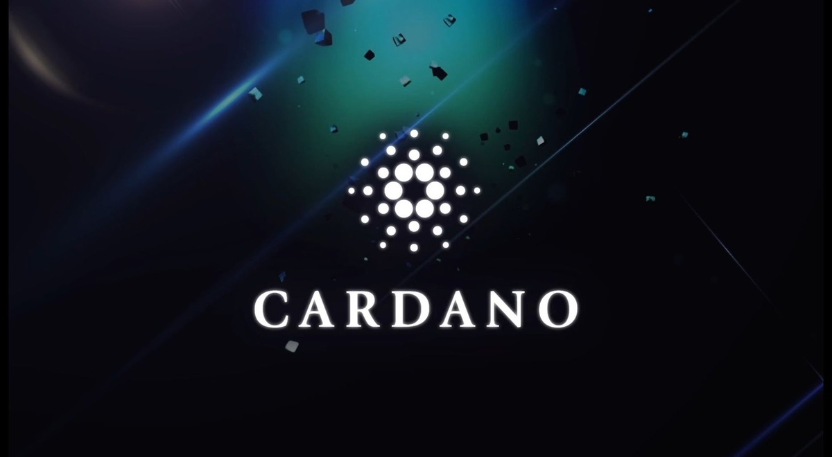 Фотография предоставлена Cardano
