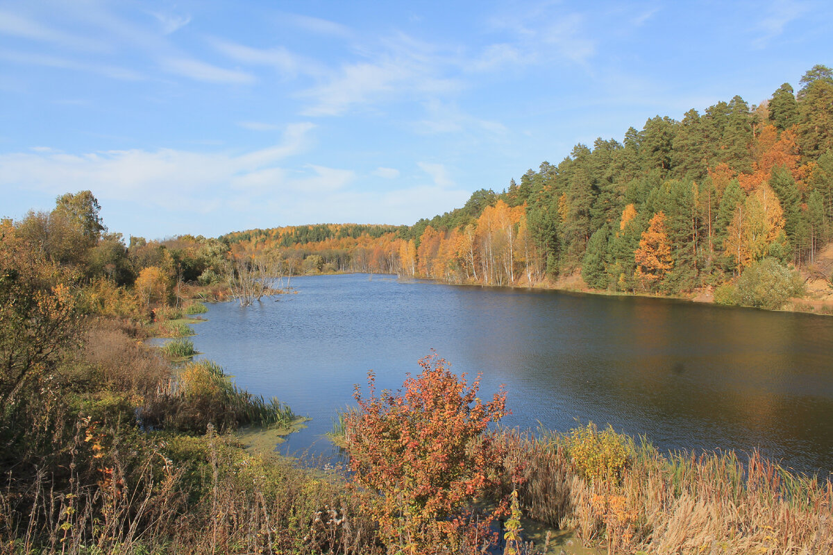Фокусное 18.