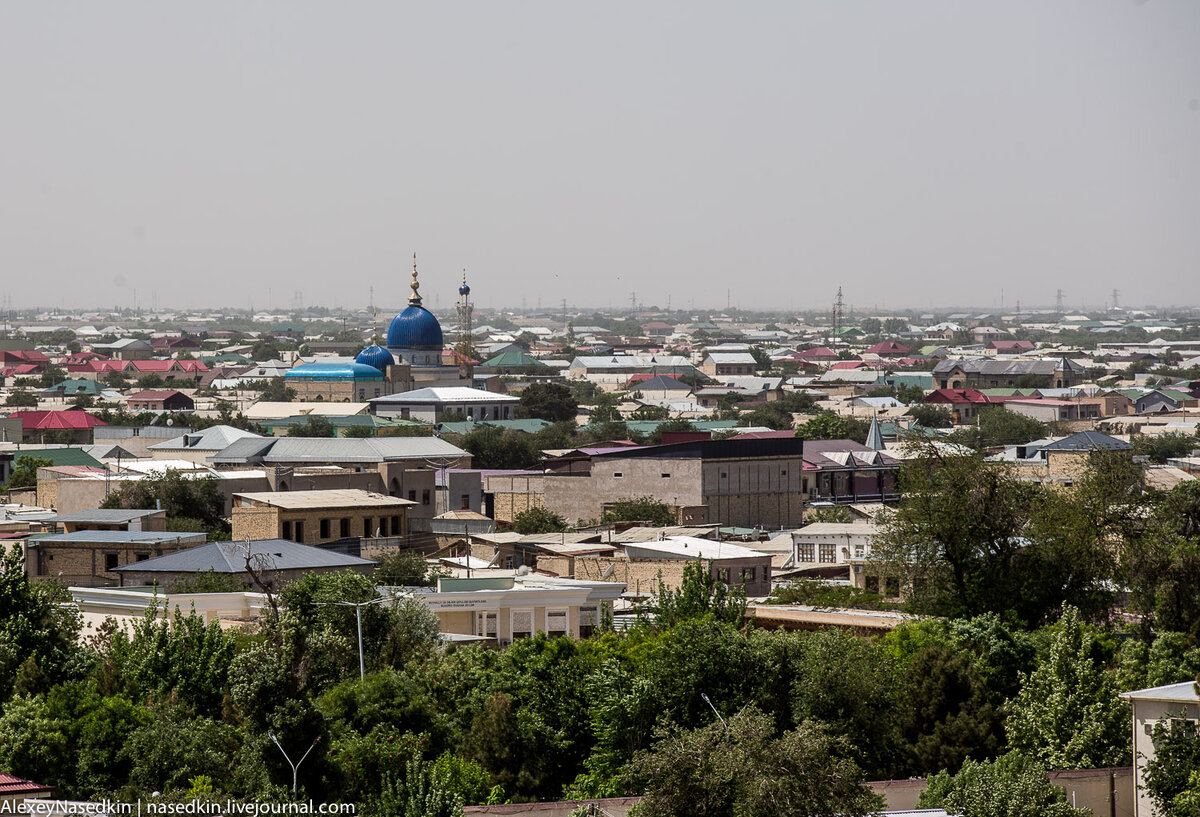 Каналы телеграмм узбекистан фото 58