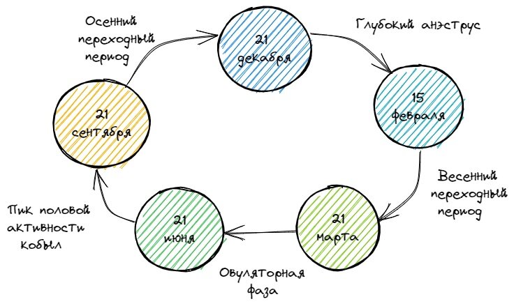 Цикл порождения 5 элементов. Взаимодействие пяти элементов. MVC диаграмма. У-син 5 элементов. Процесс изменения пола
