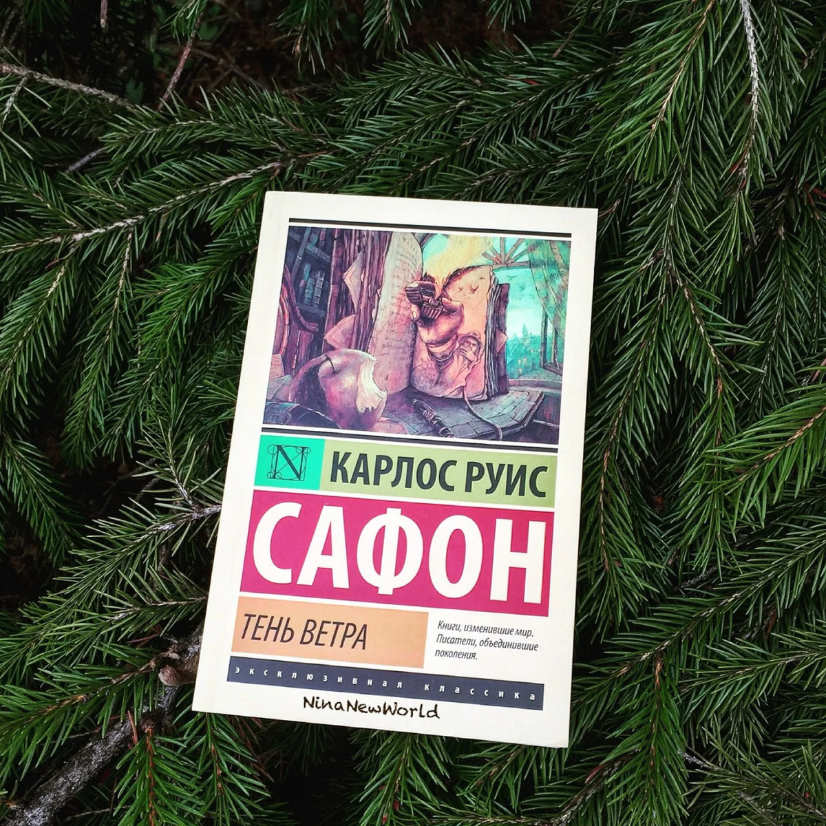 Карлос Руис Сафон "Тень ветра". Фото: ninanewworld.blogspot.com 