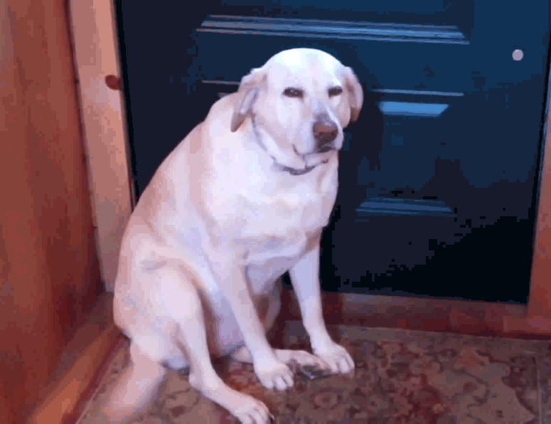 -6