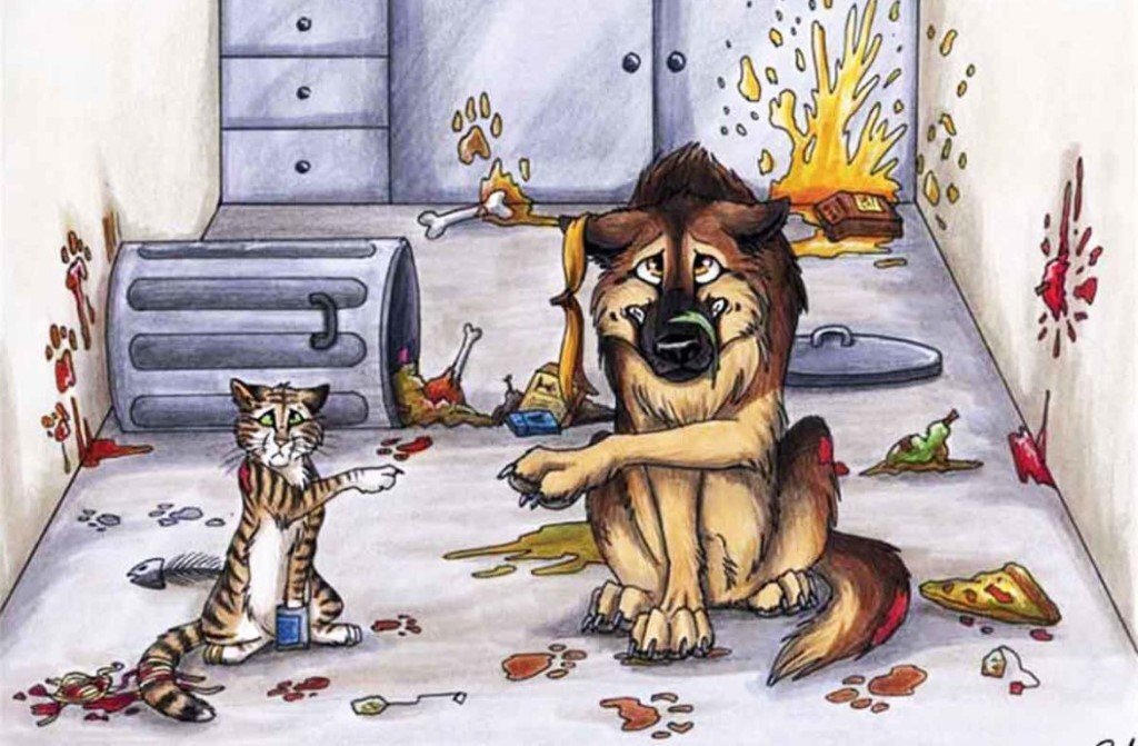 Как кошка с собакой