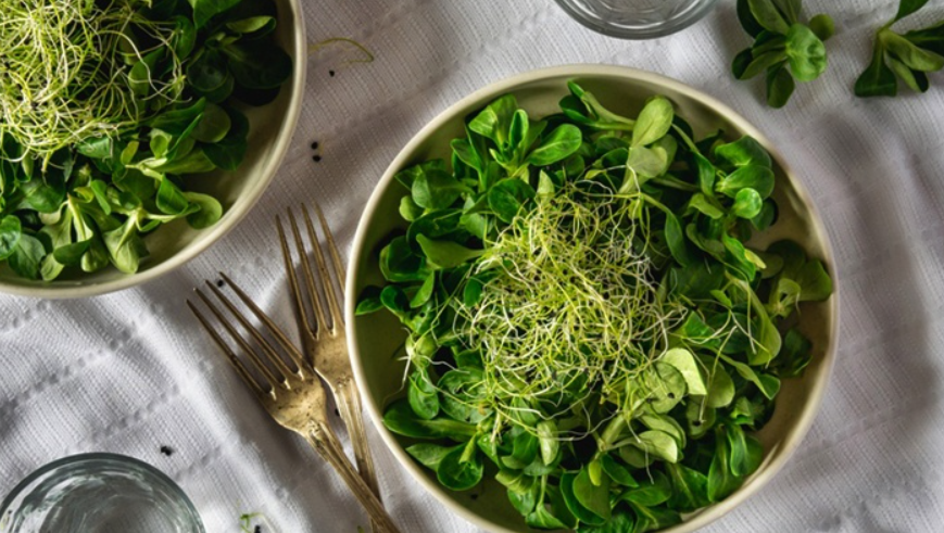 Польза микрозелени для организма. Пак Чой микрозелень. Good Green микрозелень. Шпинат Гудвин микрозелень. Шпинат исполинский микрозелень.
