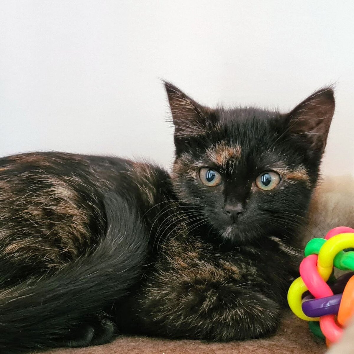 Ягодка-красотка