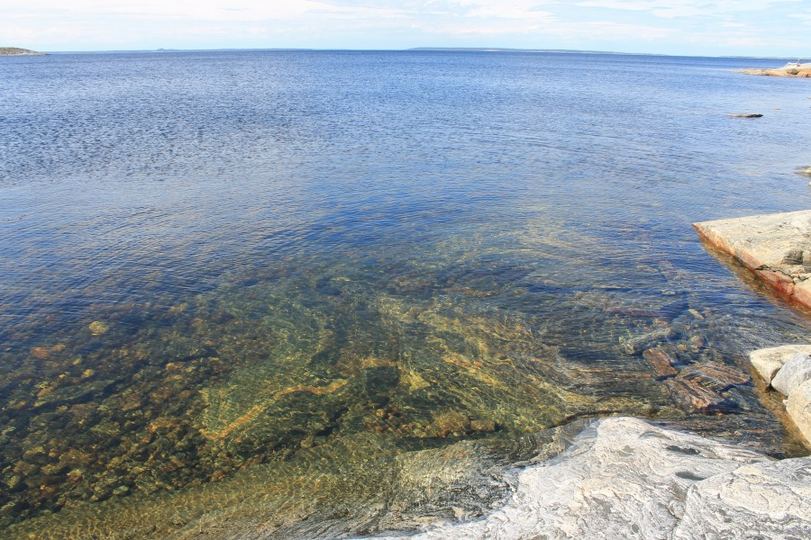 Белое море архангельск зимой. Губа кив белое море. Какая вода в белом море. Белое море зимой. Сообщение о белом море.