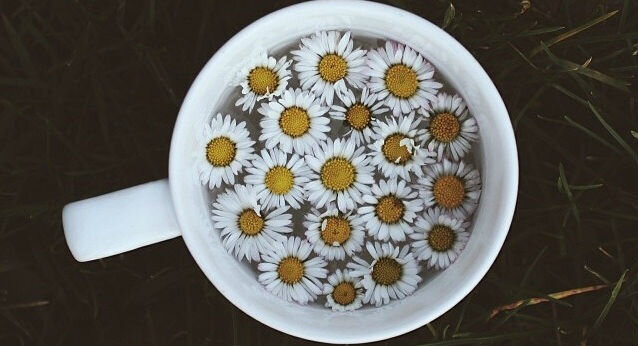 Ромашковый чай - chamomile tea