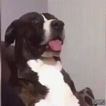 За что вы так?!