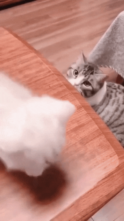 Материнский инстинкт