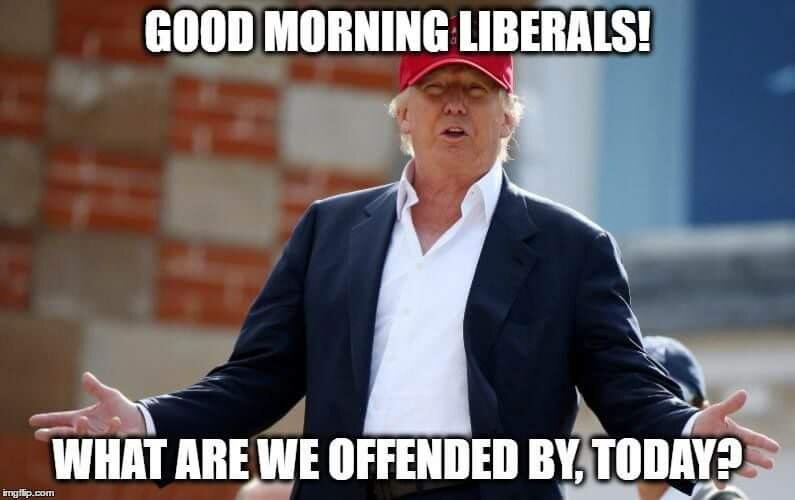 Trump’s “Good morning liberals, what are we offended by today?” catches the feeling that yes, liberals are always taking the moral high ground, despite their own huge failings.