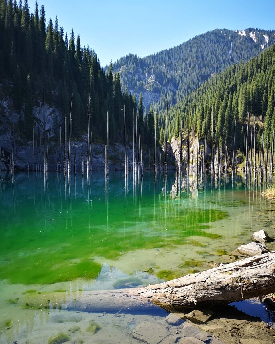 Kaindy Lake Kazakhstan