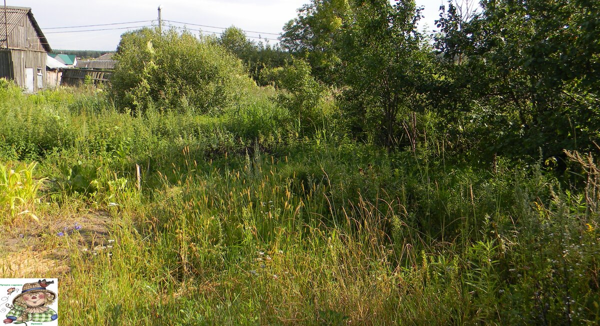 Участок под строительство дома купили с неудобицами.