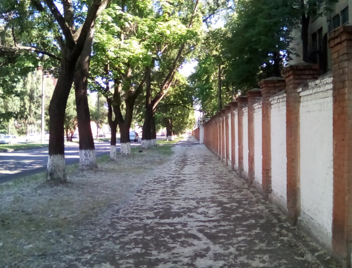 "Белый снег, серый лёд" Фото, кстати, сделано не в Москве