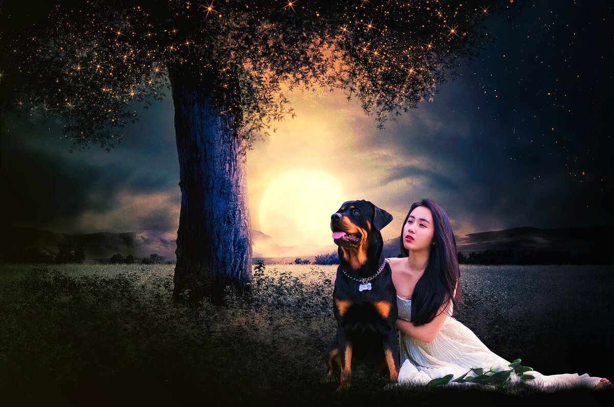 Девушка Луна и собака
