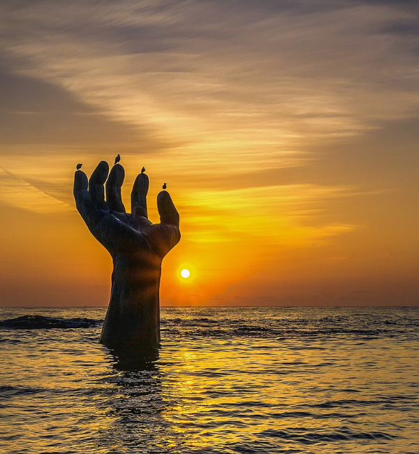 https://pixabay.com/ru/photos/%D0%B2%D0%BE%D1%81%D1%85%D0%BE%D0%B4-%D1%81%D0%BE%D0%BB%D0%BD%D1%86%D0%B0-homigot-%D0%BF%D1%85%D0%BE%D1%85%D0%B0%D0%BD-%D1%80%D1%83%D0%BA%D0%B0-734312/