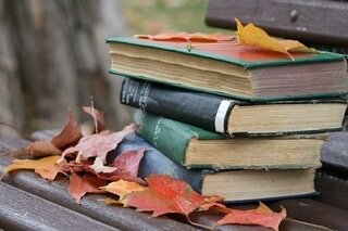 Фотография взята из Яндекса