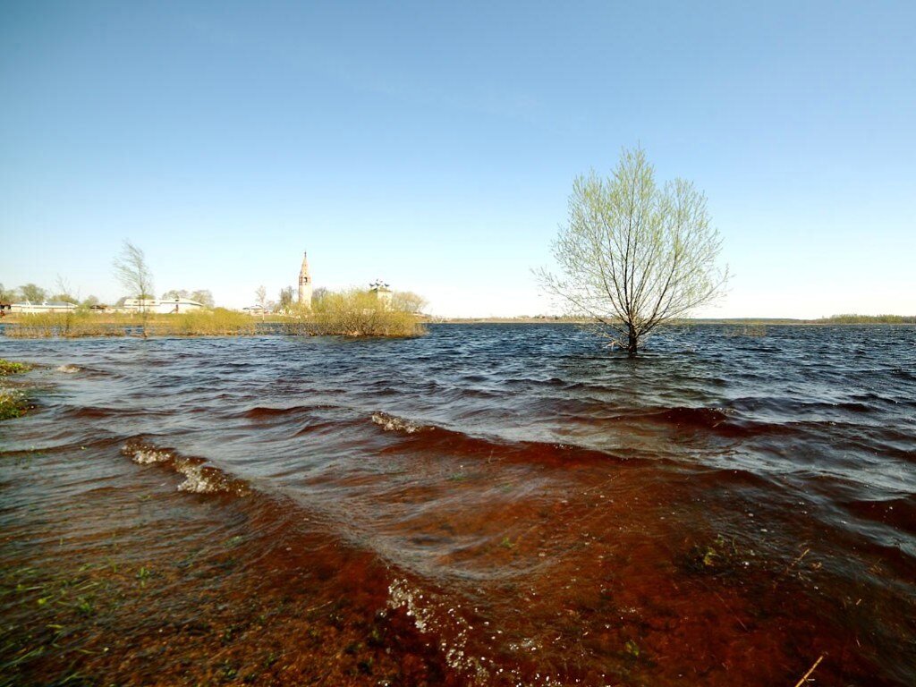 Фото: Яндекс