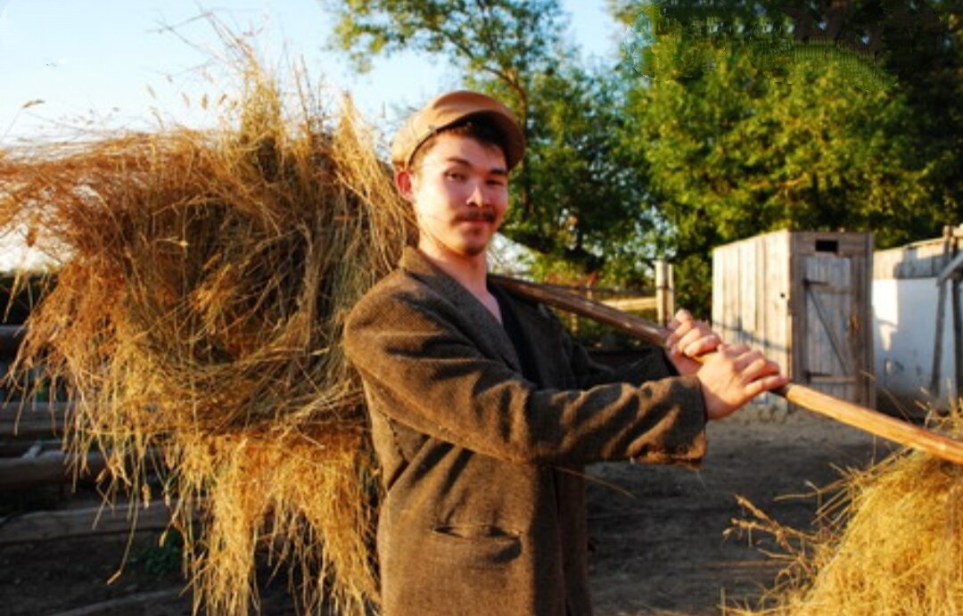 Фото из открытого источника