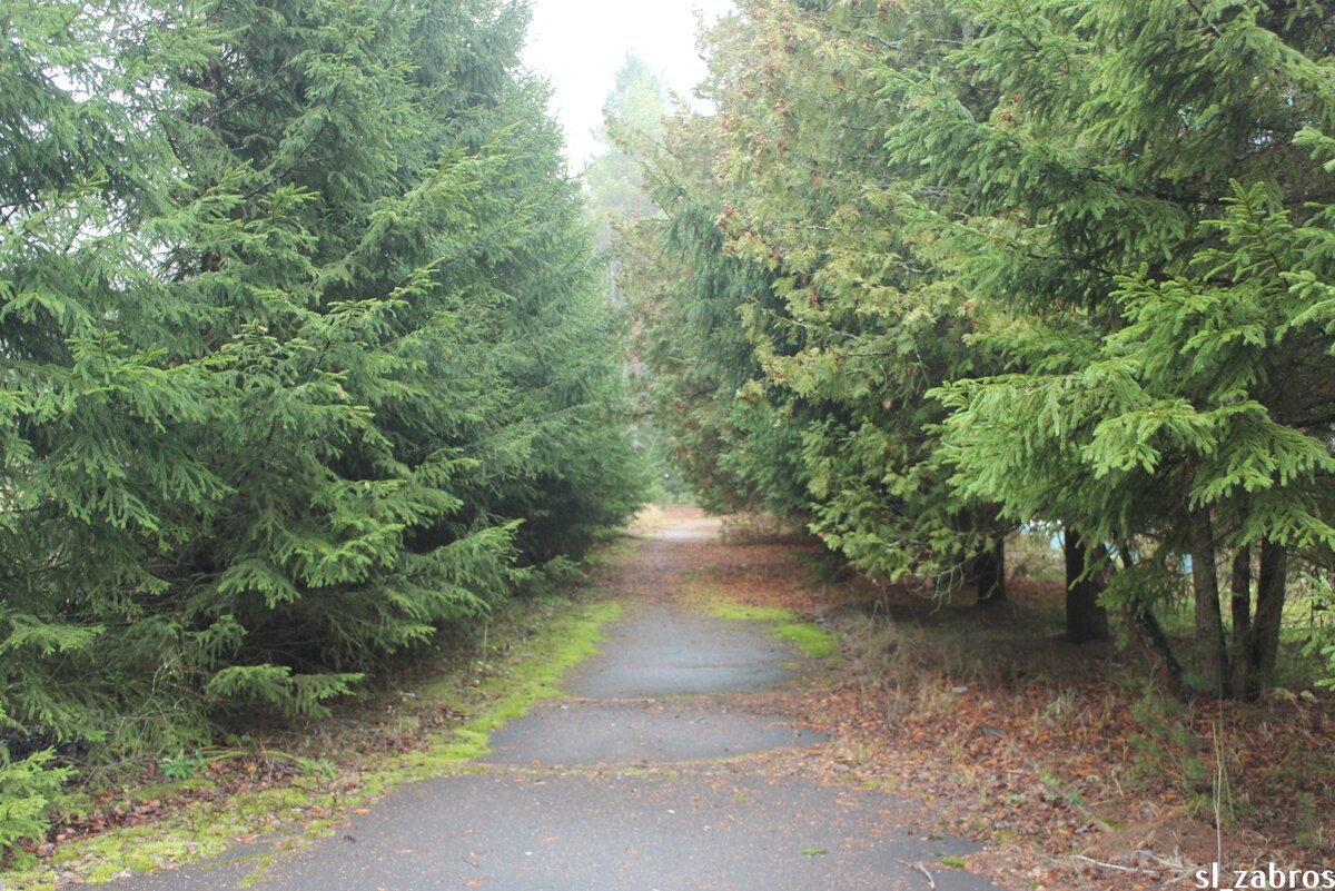 Вокруг красивая природа