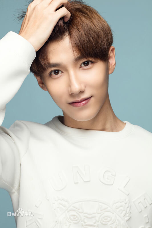 Цзя Чжэн Юй